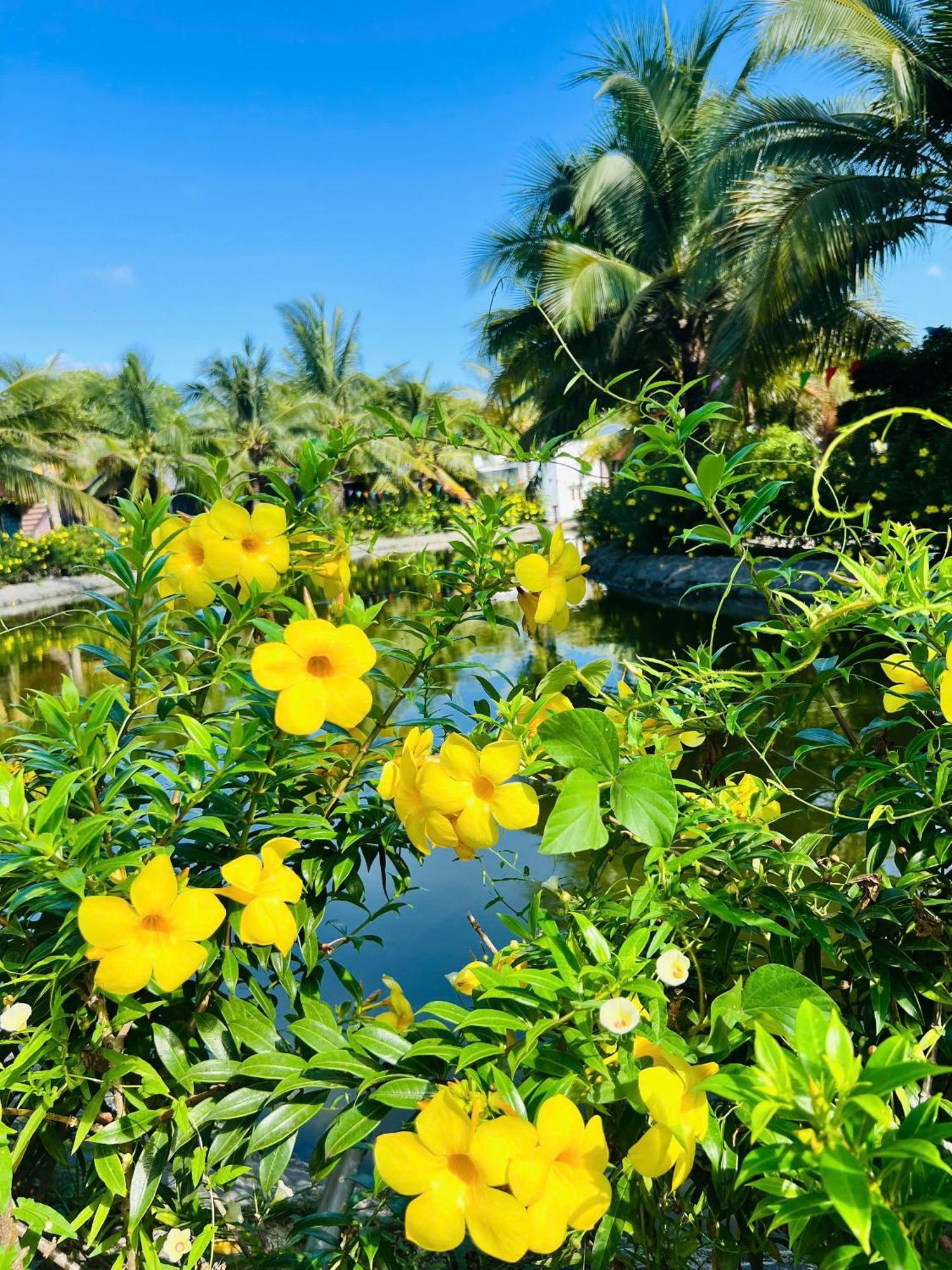 Ho Coc Park & Resort Xa Nhu Lam Екстериор снимка